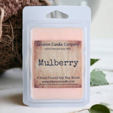Load image into Gallery viewer, 2026 Christmas & Winter Wax Melt Wholesale Pack (PRE-ORDER)