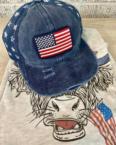 C.C. American Flag Ball Cap