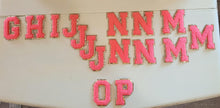 Load image into Gallery viewer, Fun Fanny Bag Letters

